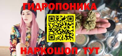 скорость Гатчина