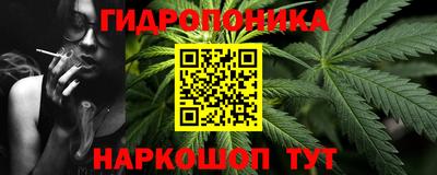 скорость Гатчина
