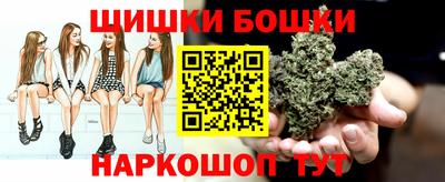 скорость Гатчина