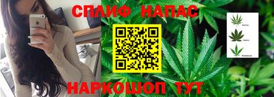 скорость Гатчина