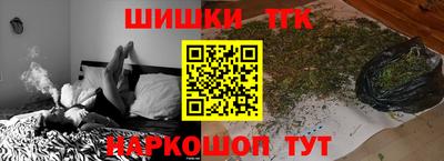 скорость Гатчина