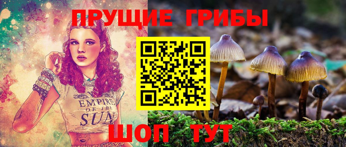 Печора  Псилоцибиновые грибы Psilocybine cubensis  Вход с VPN 