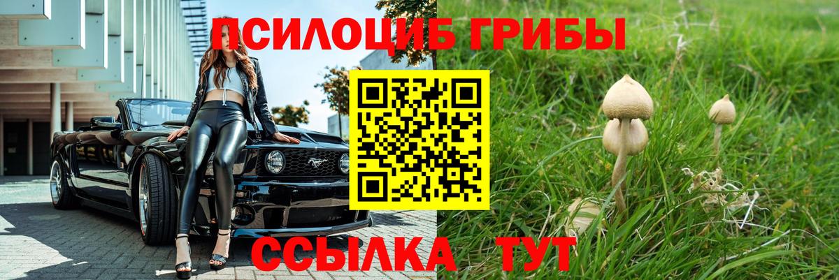 Галлюциногенные грибы Psilocybine cubensis Печора
