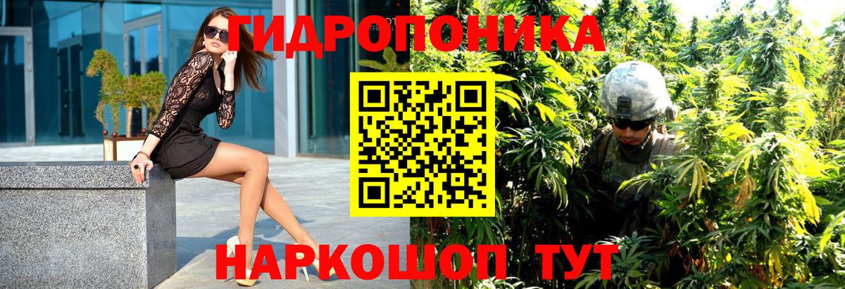 Канабис Bruce Banner Печора